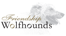 Friendship Wolfhounds Logo